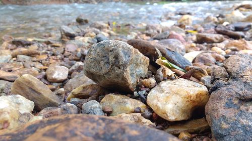 Close-up of stones on beach