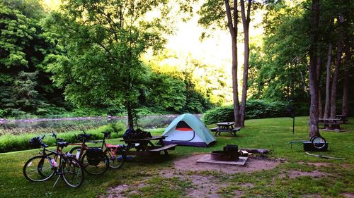 Bicycles in park