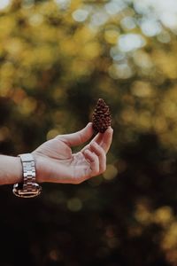 Close-up of hand holding ice cream