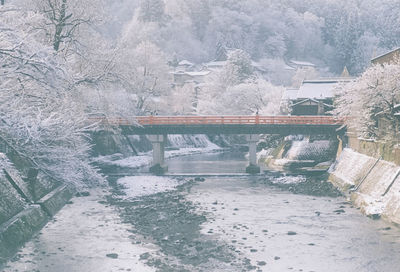 High angle view of frozen plants by bridge during winter