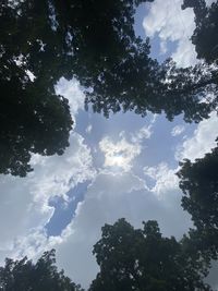 Low angle view of silhouette trees against sky