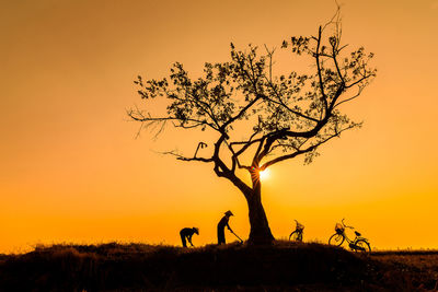 Silhouette tree in field against orange sky