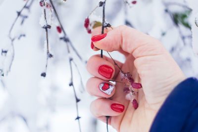 Close-up of hand holding red berries