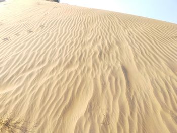 Sand dune in desert against sky