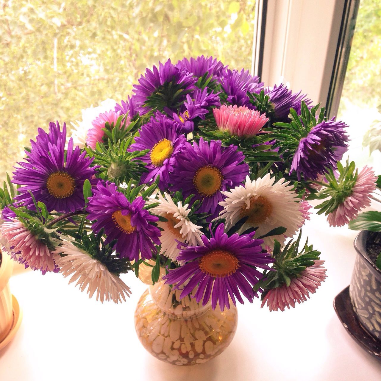 CLOSE-UP OF PINK FLOWERS IN VASE