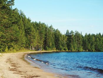 Scenic view of trees by sea against sky