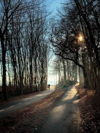 Empty road amidst trees against sky