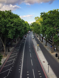 Empty road along trees and plants in city