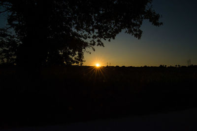 Silhouette of trees at sunset