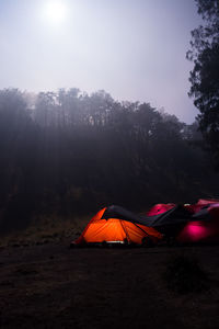 Tent on field by trees against sky