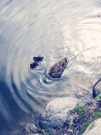 Rocks in sea