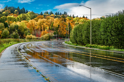 Road amidst trees against sky