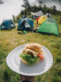 Cropped hand of person holding burger holding plate at campsite