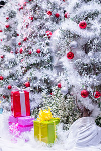 Christmas tree in snow