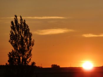 Silhouette tree against orange sky