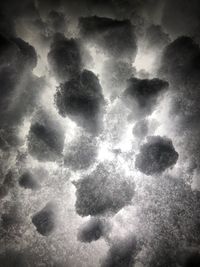 High angle view of snow on land