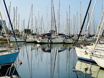 Sailboats moored in harbor