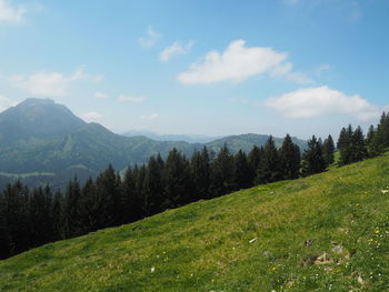 Scenic view of landscape against sky