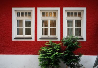 Trees and red wall of house