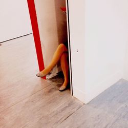 human leg