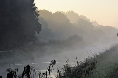 Panoramic view of trees on landscape against sky