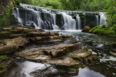 Scenic view of waterfall in forest