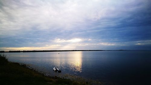 Swans on sea against sky during sunset