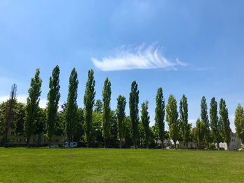 Panoramic shot of trees on field against sky