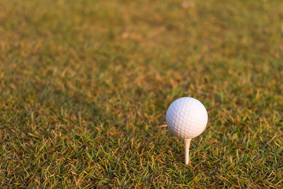 Close-up of golf ball on grass