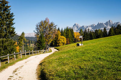 Road amidst trees against clear sky