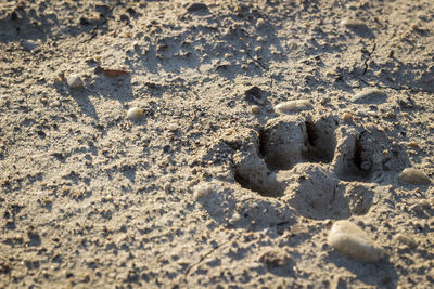 High angle view of footprints on sand at beach
