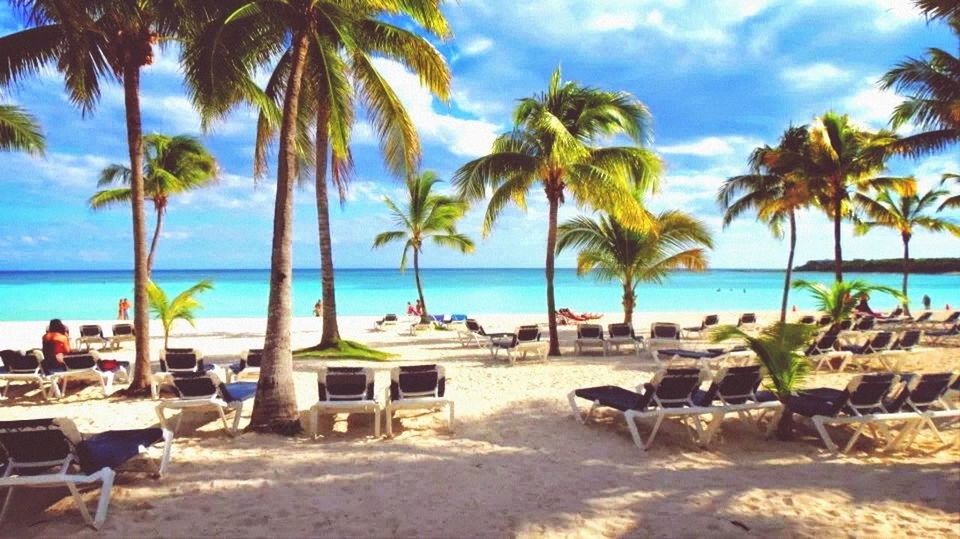 beach, sea, palm tree, sand, horizon over water, shore, water, tree, sky, tranquility, tranquil scene, vacations, beach umbrella, lounge chair, scenics, nature, beauty in nature, incidental people, summer, tropical climate