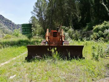 Abandoned train against trees