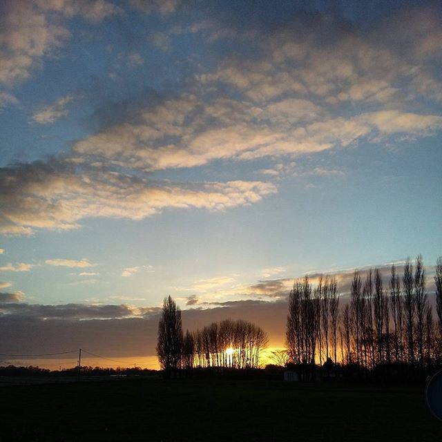 sunset, sky, tranquil scene, tranquility, landscape, scenics, field, silhouette, beauty in nature, cloud - sky, nature, tree, cloud, rural scene, idyllic, outdoors, dusk, no people, non-urban scene, orange color