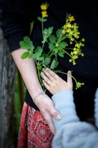 Midsection of woman hand holding plant