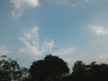 Low angle view of trees against sky