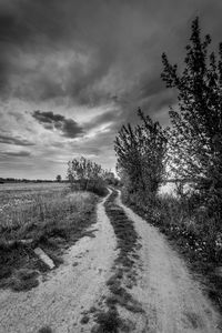 Empty road amidst trees on field against sky