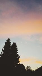 Silhouette of trees against sky at sunset