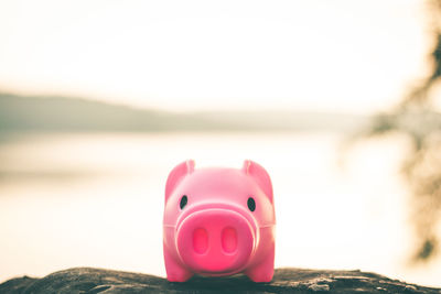 Close-up of pink toy on beach against sky