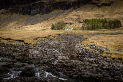 Scenic view of landscape