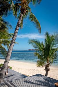 Palm tree by sea against sky