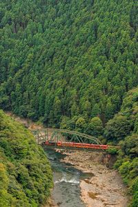 High angle view of train on railway bridge over river amidst forest