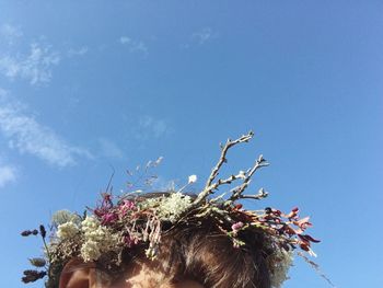 Low angle view of flowering plant against blue sky