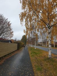 Road amidst trees against sky during autumn