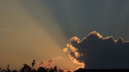Low angle view of silhouette trees against sky during sunset