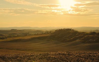 Scenic view of field against sky during sunset