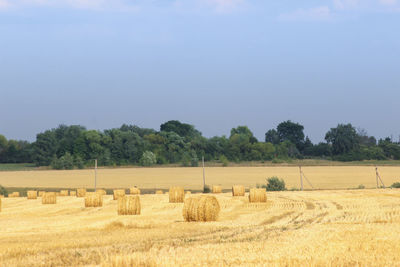 Hay bales on field against sky