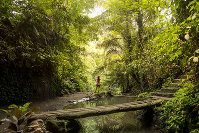 Man amidst trees in forest