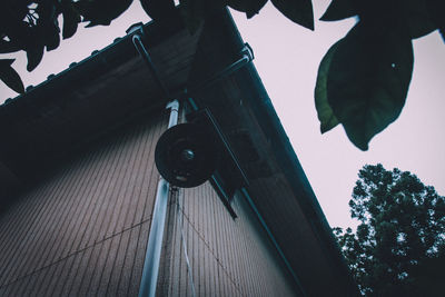 Low angle view of trees