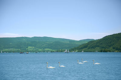 Birds flying over lake against sky